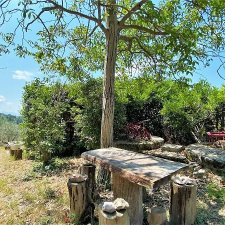Holiday Home In Assisi With Garden *